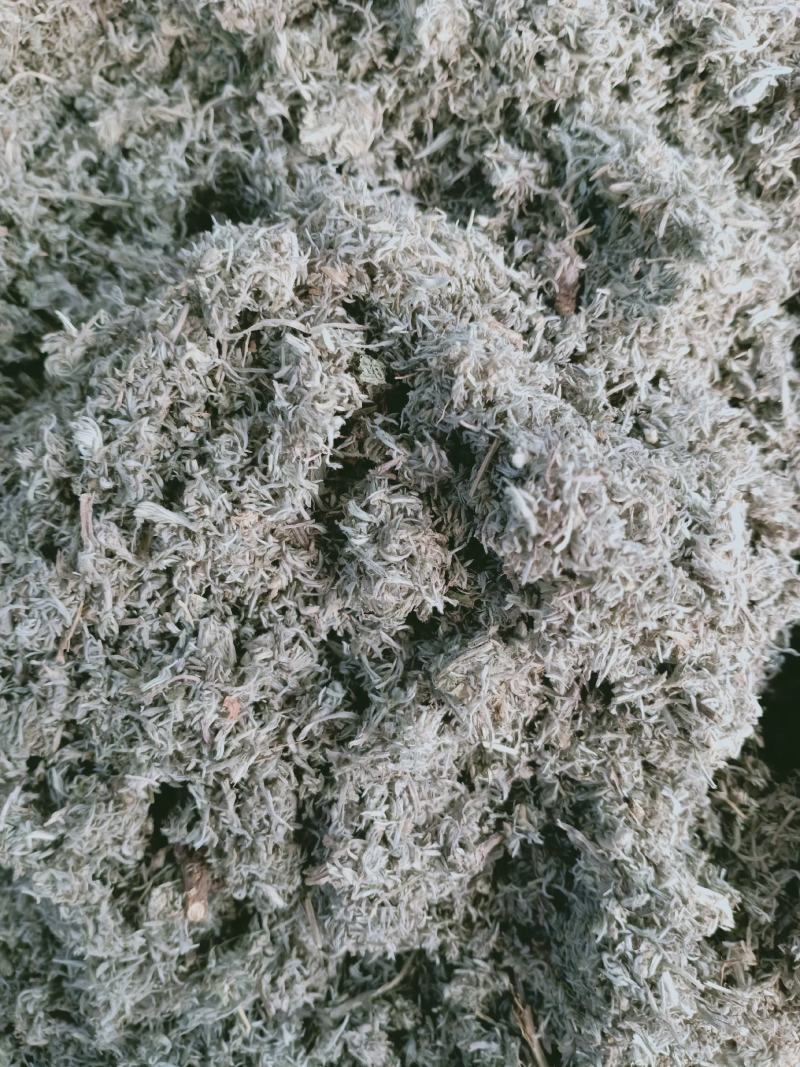 茵陈，正品绵茵陈新货质量保证经营各种中药材欢迎咨询选购！