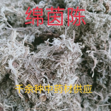 茵陈，正品绵茵陈新货质量保证经营各种中药材欢迎咨询选购！