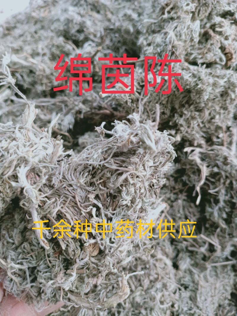 茵陈，正品绵茵陈新货质量保证经营各种中药材欢迎咨询选购！