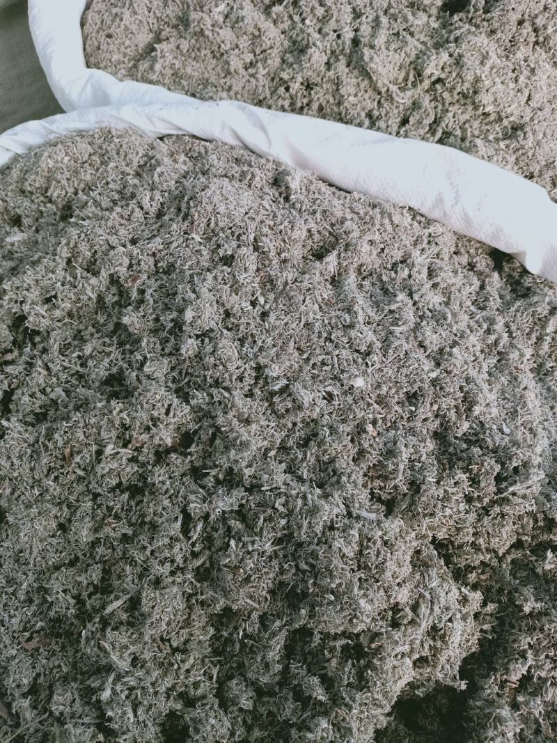 茵陈，正品绵茵陈新货质量保证经营各种中药材欢迎咨询选购！