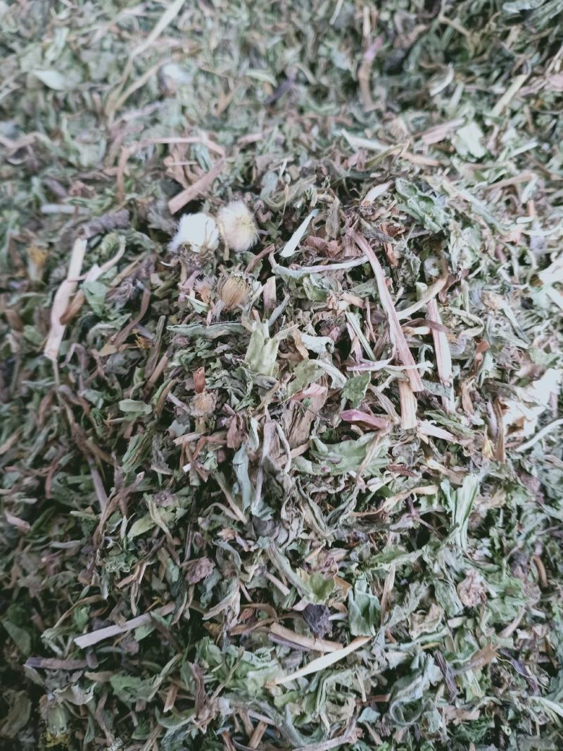蒲公英，野生新货蒲公英片质量保证，欢迎咨询选购！