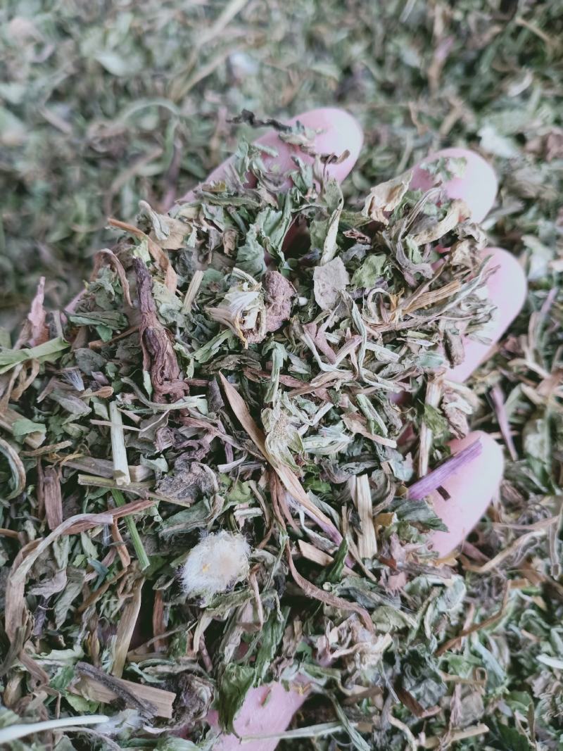 蒲公英，野生新货蒲公英片质量保证，欢迎咨询选购！