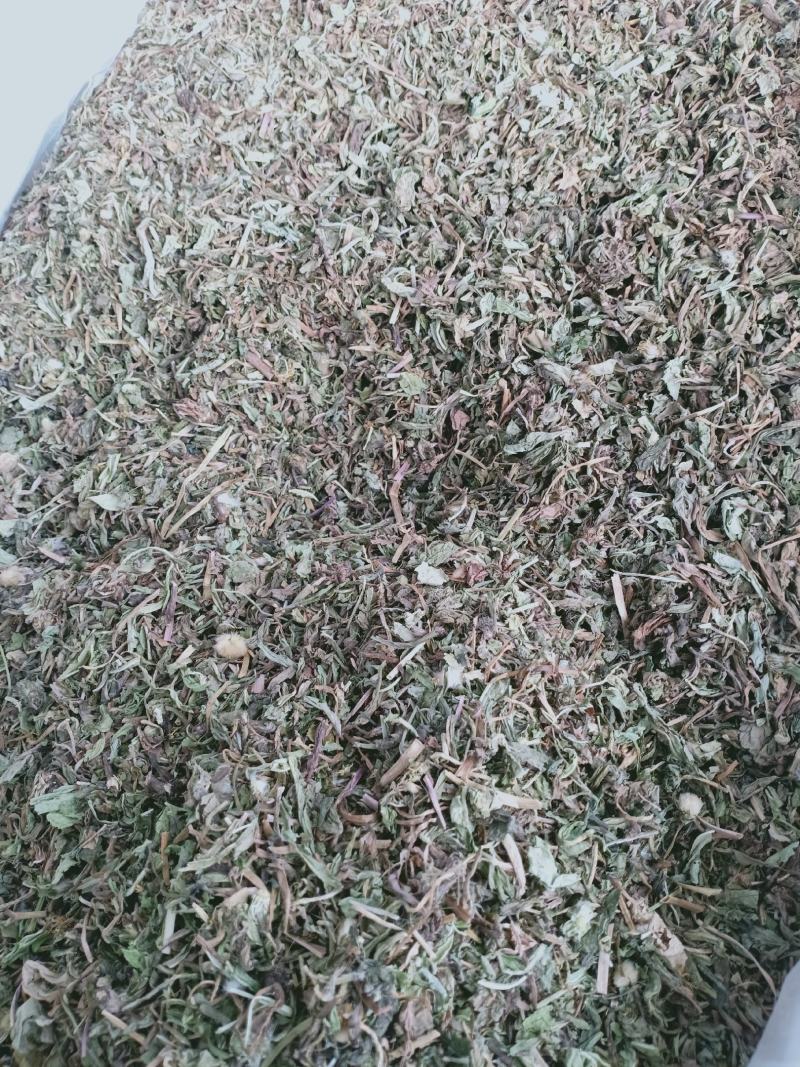 蒲公英，野生新货蒲公英片质量保证，欢迎咨询选购！