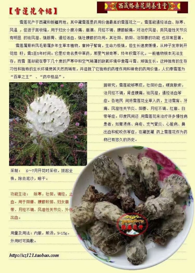 雪莲花