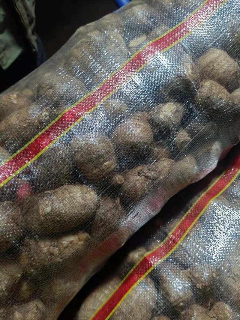 毛芋头8520大果，中果，小果，袋装，欢迎前来订购