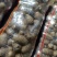 毛芋头8520大果，中果，小果，袋装，欢迎前来订购