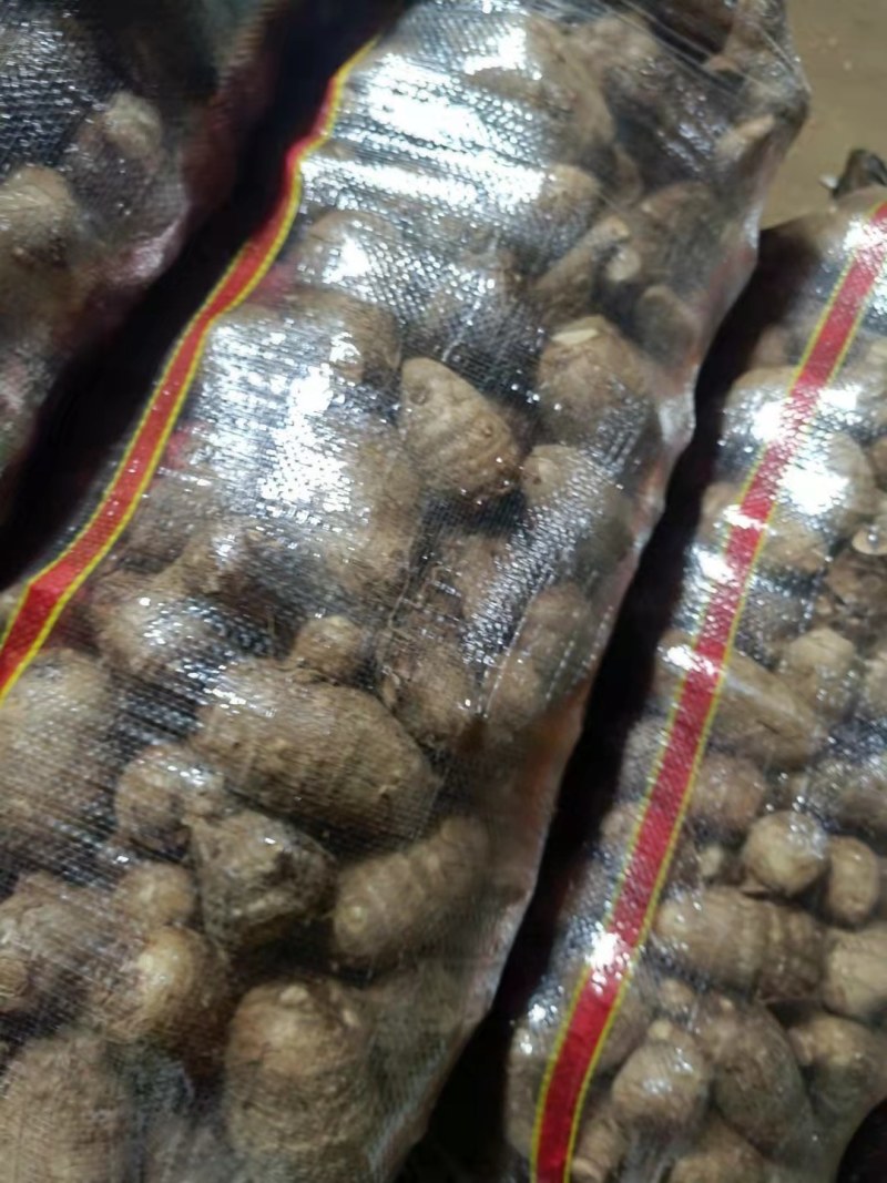 毛芋头8520大果，中果，小果，袋装，欢迎前来订购
