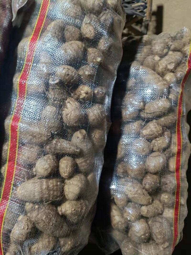 毛芋头8520大果，中果，小果，袋装，欢迎前来订购