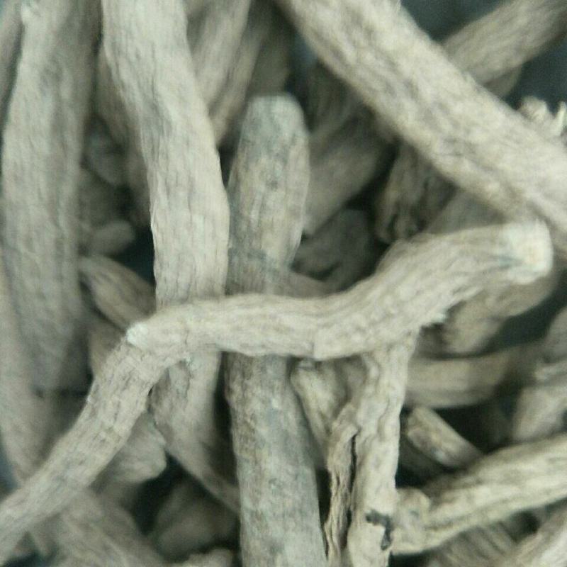 紫金龙干货量大从优干净无杂质欢迎选购！