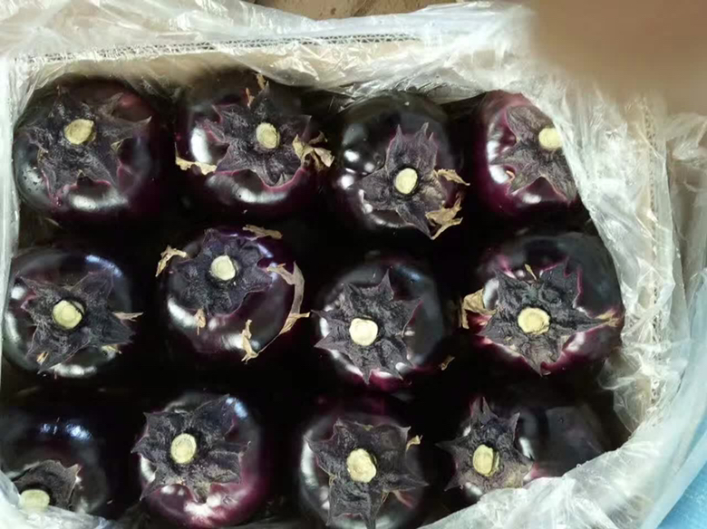 圆茄子炒菜成品图
