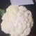 菜花种台松68，半实花，产量特高，种子不多，便宜卖了