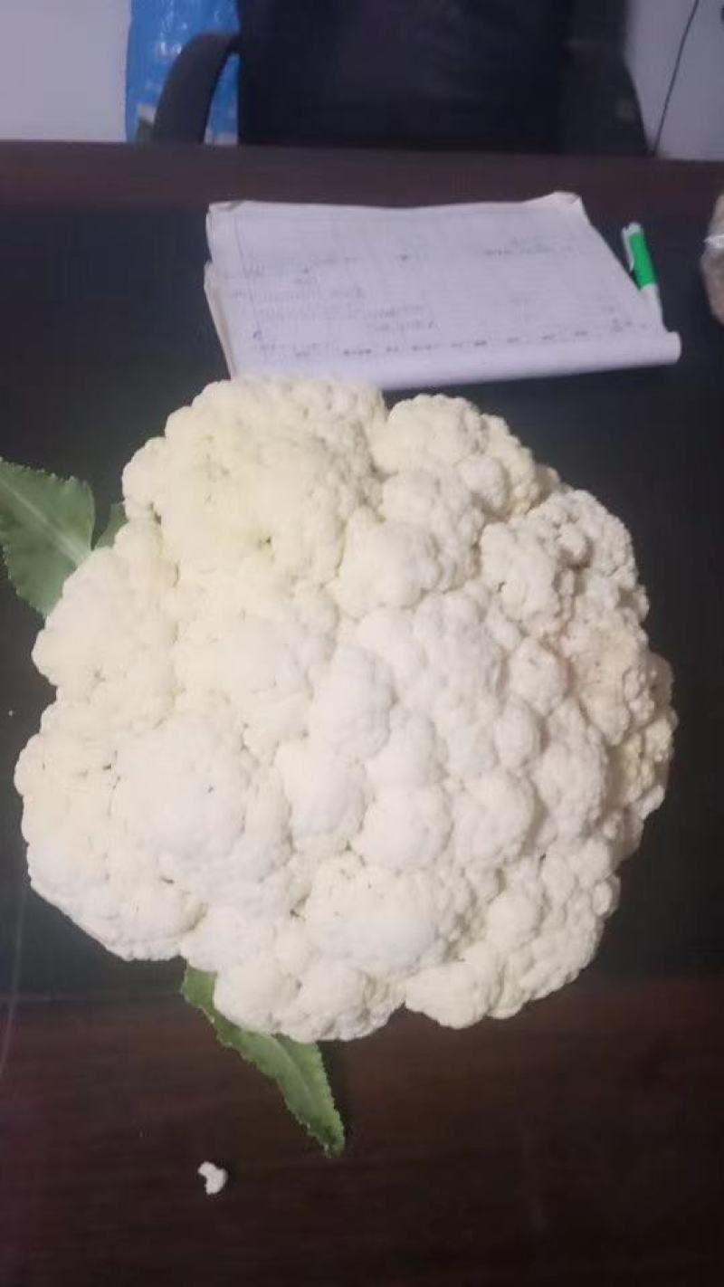 菜花种台松68，半实花，产量特高，种子不多，便宜卖了