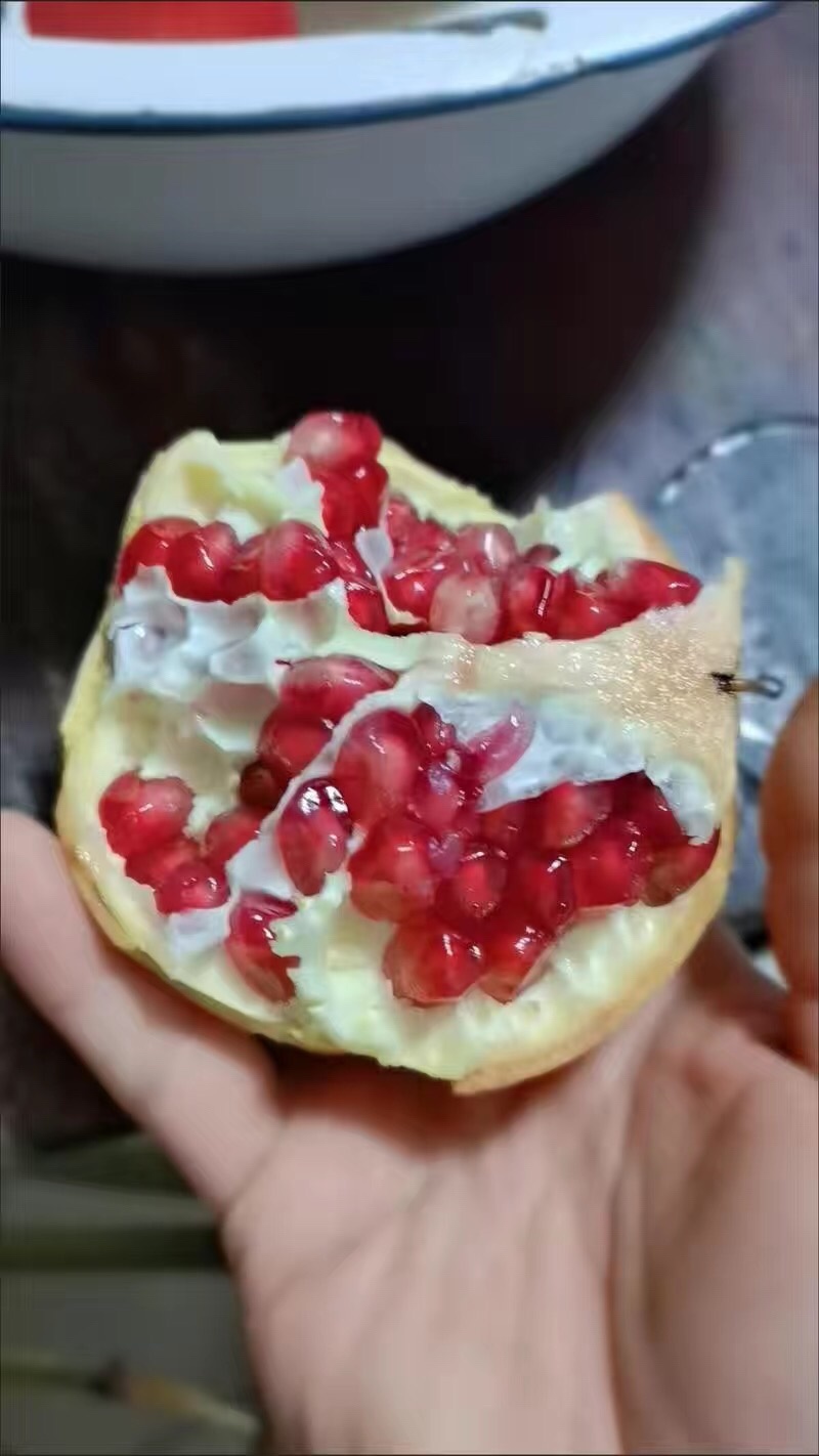 江石榴