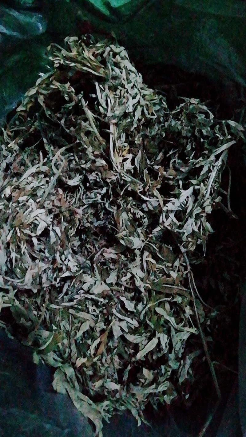 老艾叶泡脚佳品，薄利多销，当天发货，量大即可包邮。