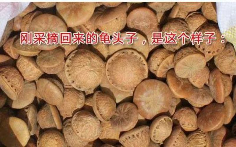 风流果，今年新果去皮干果，一手货源，量大价优
