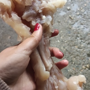 带皮牛副筋，纯水煮，***，冷冻物流发货，也可快递