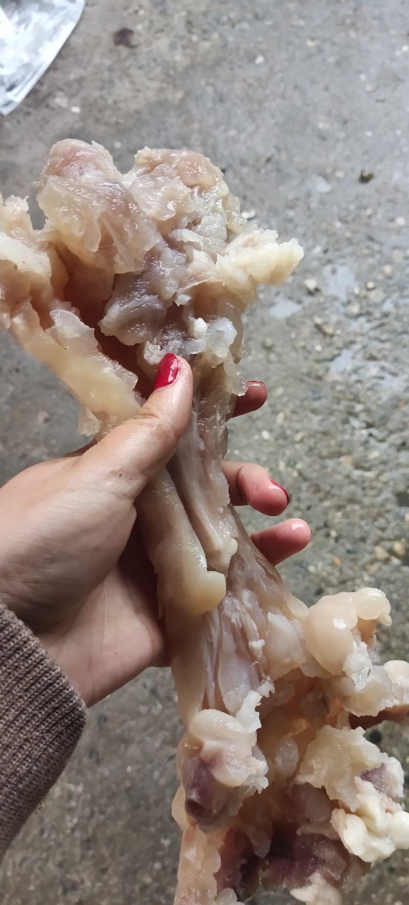 带皮牛副筋，纯水煮，***，冷冻物流发货，也可快递