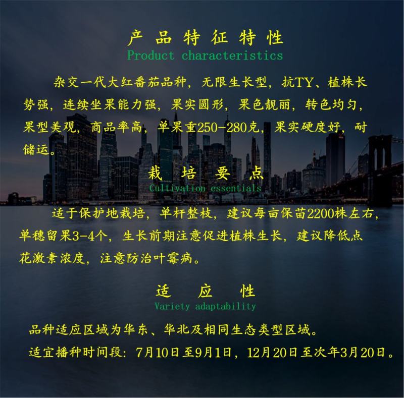 【包邮】乾德美好大红番茄种子精品果抗病能力强西红柿种子