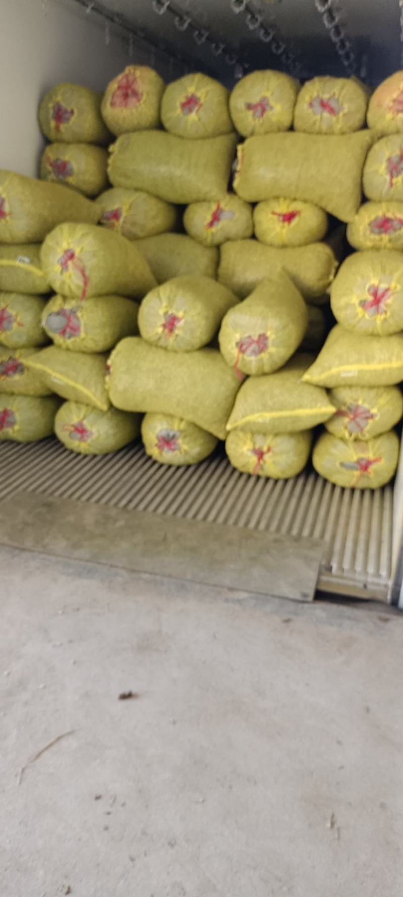 带泥鲜花生，有统货，手工精品货，量大从优