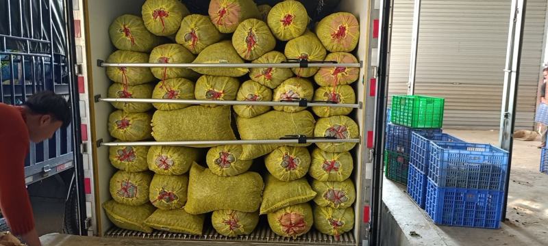 带泥鲜花生，有统货，手工精品货，量大从优