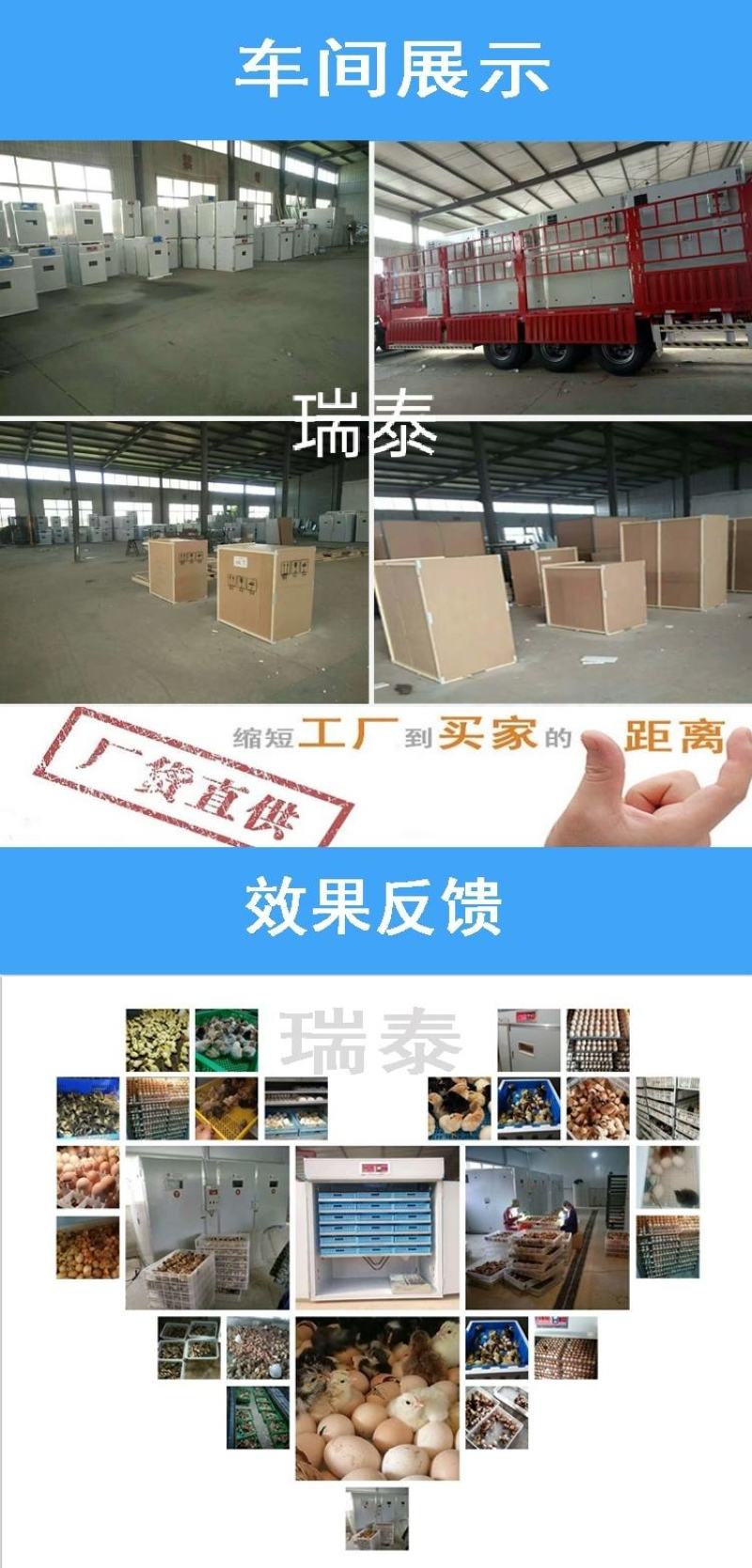 5280枚全自动孵化机小鸡孵化器鸡鸭鹅孵化箱厂家直销质量