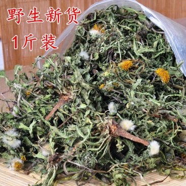 蒲公英,干婆婆丁,干净,泡茶养生,家庭常备蒲公英整棵