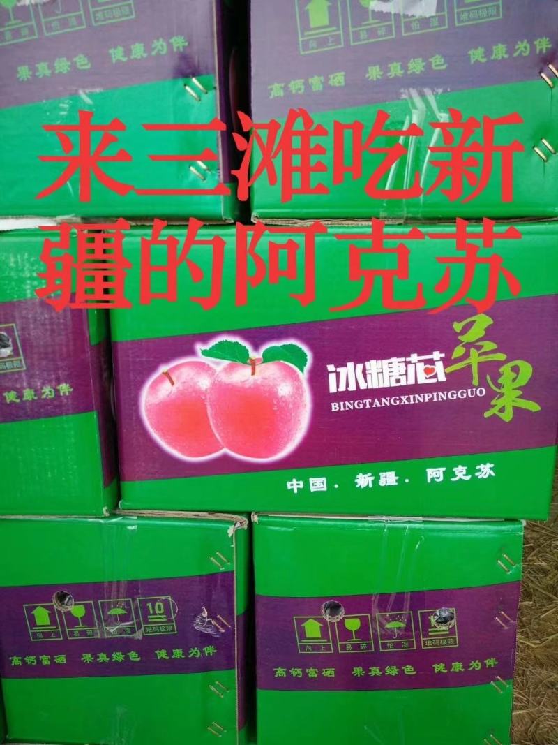 供应冰糖心红富士苹果