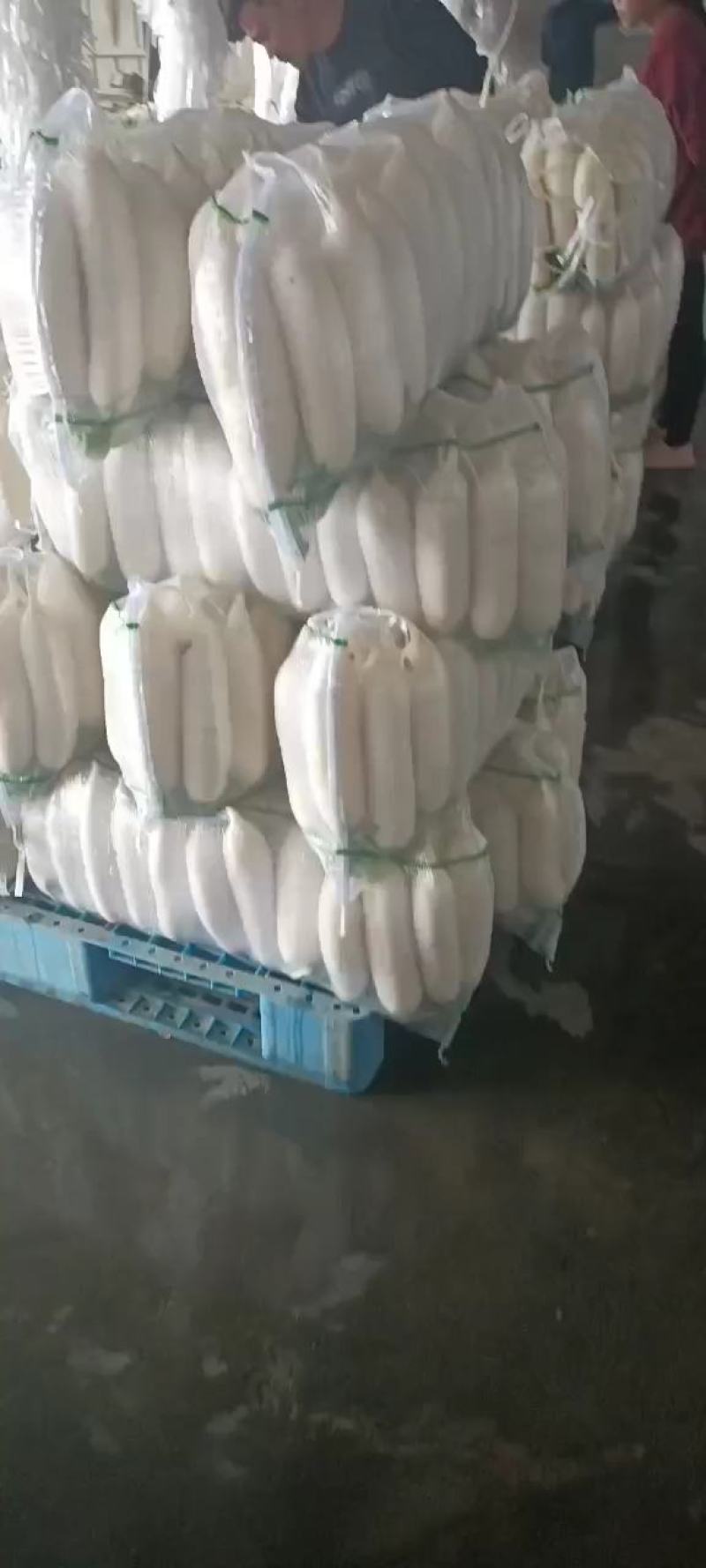 精品白萝卜大量供货加工厂，批发市场超市可以长期供货。