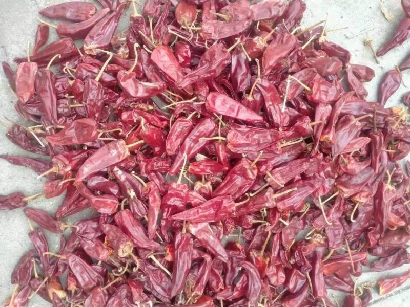 山西忻州精品北京红干辣椒大量供应！整车代发，产地直供