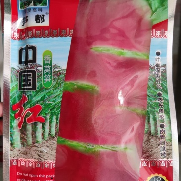 中国红莴笋种子长尖叶茎长棒形略带红色斑块肉翠绿色清香味浓