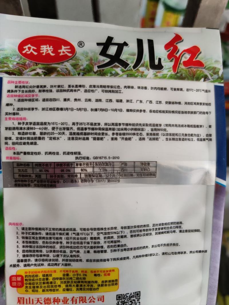 女儿红莴笋种子皮淡绿色肉浅绿脆嫩清香耐寒性强丰产适应性广