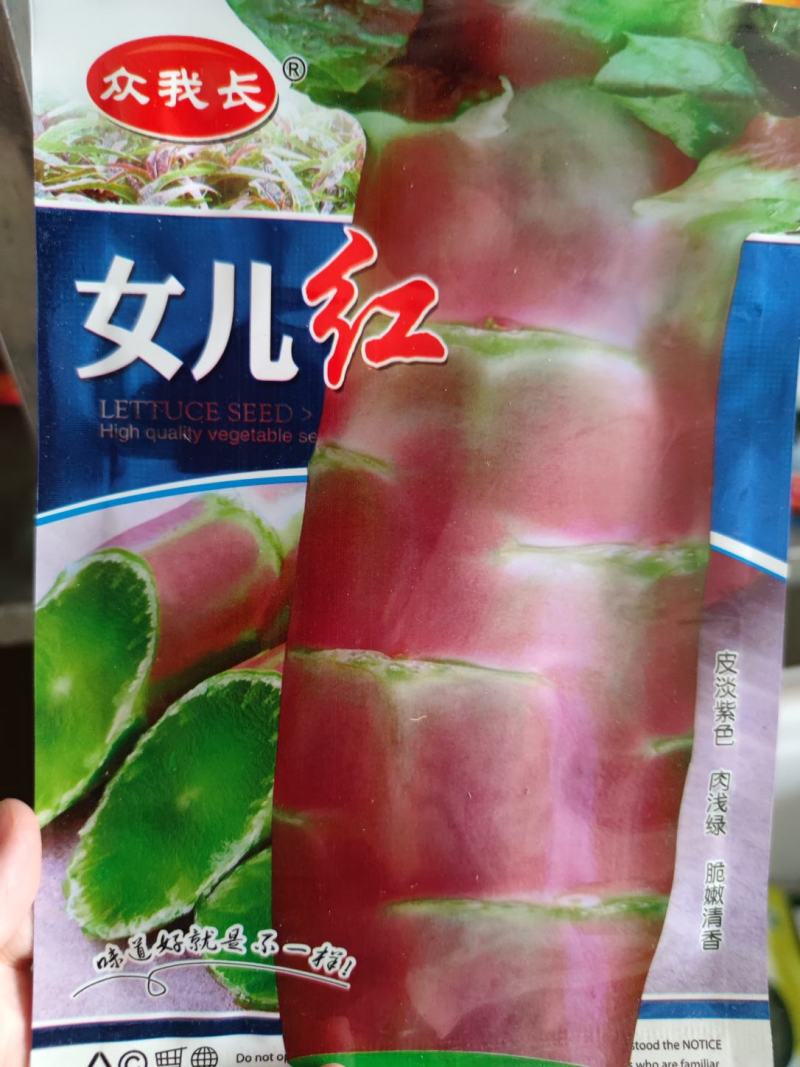 女儿红莴笋种子皮淡绿色肉浅绿脆嫩清香耐寒性强丰产适应性广