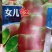 女儿红莴笋种子皮淡绿色肉浅绿脆嫩清香耐寒性强丰产适应性广