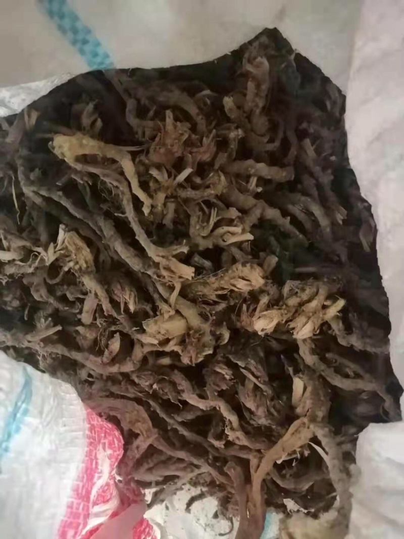 石菖蒲高品质高含量纯野生，欢迎各位老板前来选购