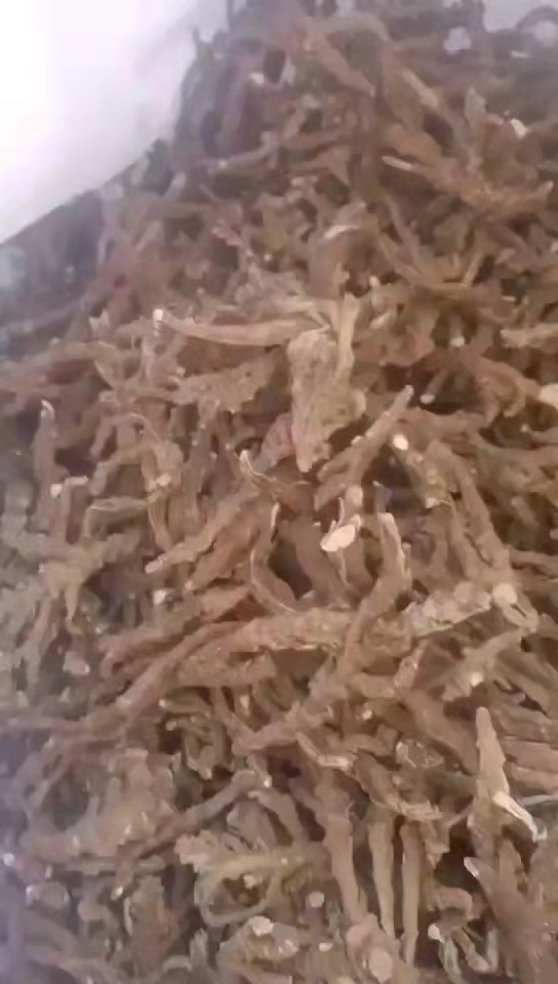 石菖蒲高品质高含量纯野生，欢迎各位老板前来选购