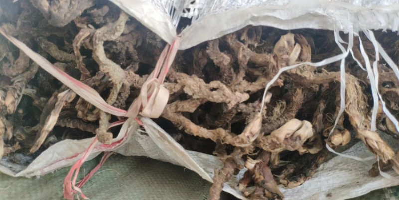 石菖蒲高品质高含量纯野生，欢迎各位老板前来选购