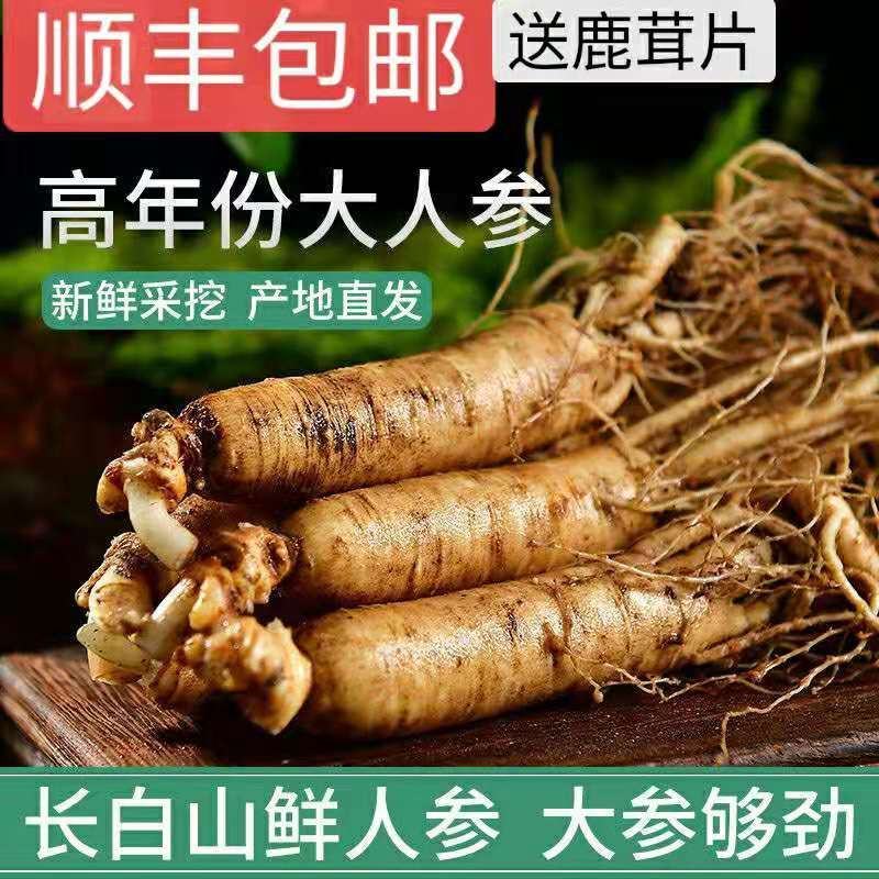 【顺丰包邮】精品条型鲜人参，人参，现挖现卖更新鲜