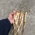 【质量保证】秦岭山中的桔梗含量高条子直，货源充足来电优惠