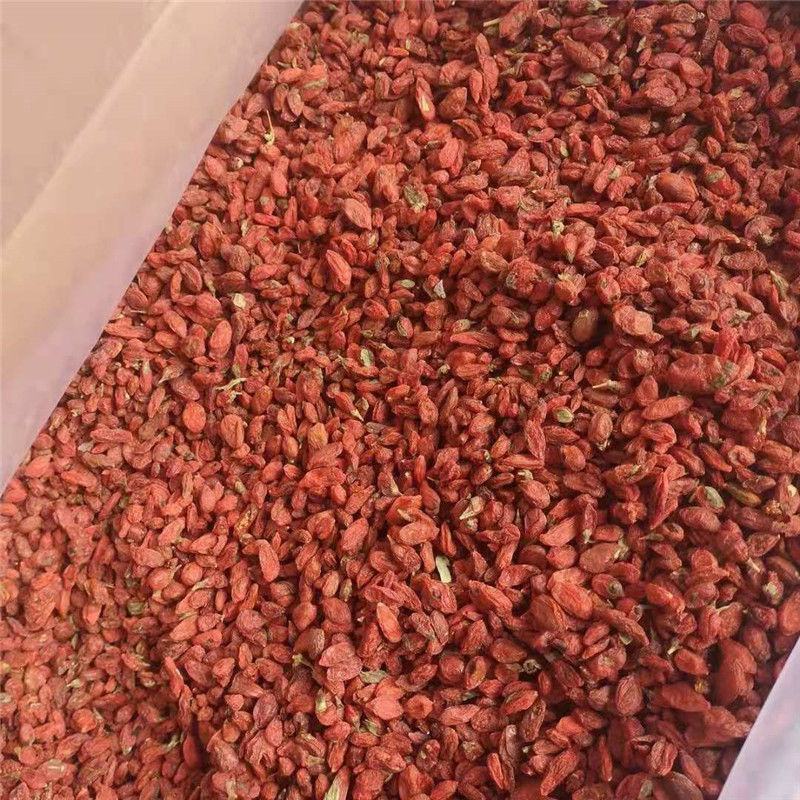 枸杞农家枸杞特级优质头茬大颗粒亳州直发