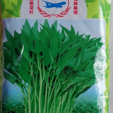 泰国空心菜种子.1斤叶色绿色梗淡绿色，口感脆嫩食味佳