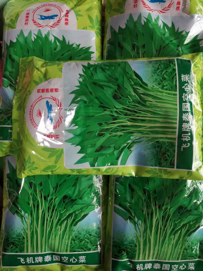 泰国空心菜种子.1斤叶色绿色梗淡绿色，口感脆嫩食味佳