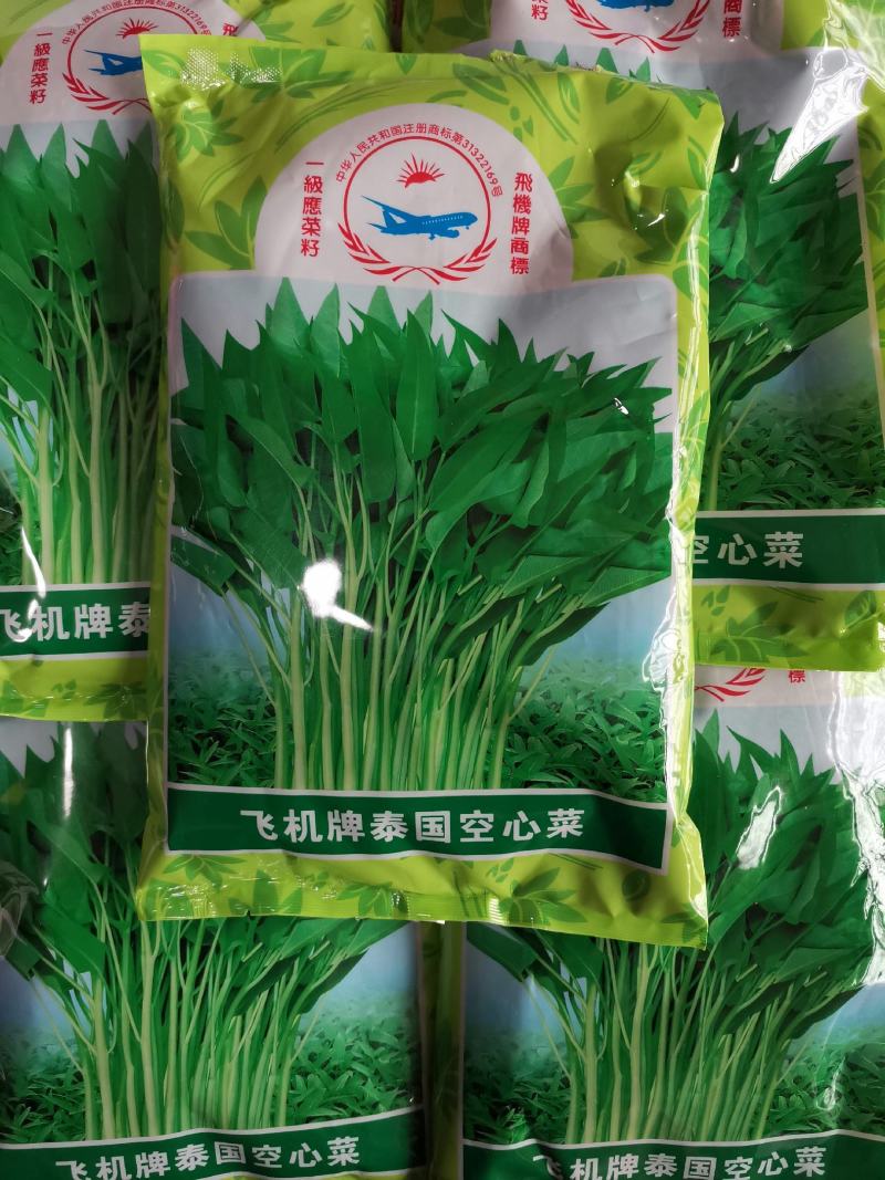 泰国空心菜种子.1斤叶色绿色梗淡绿色，口感脆嫩食味佳
