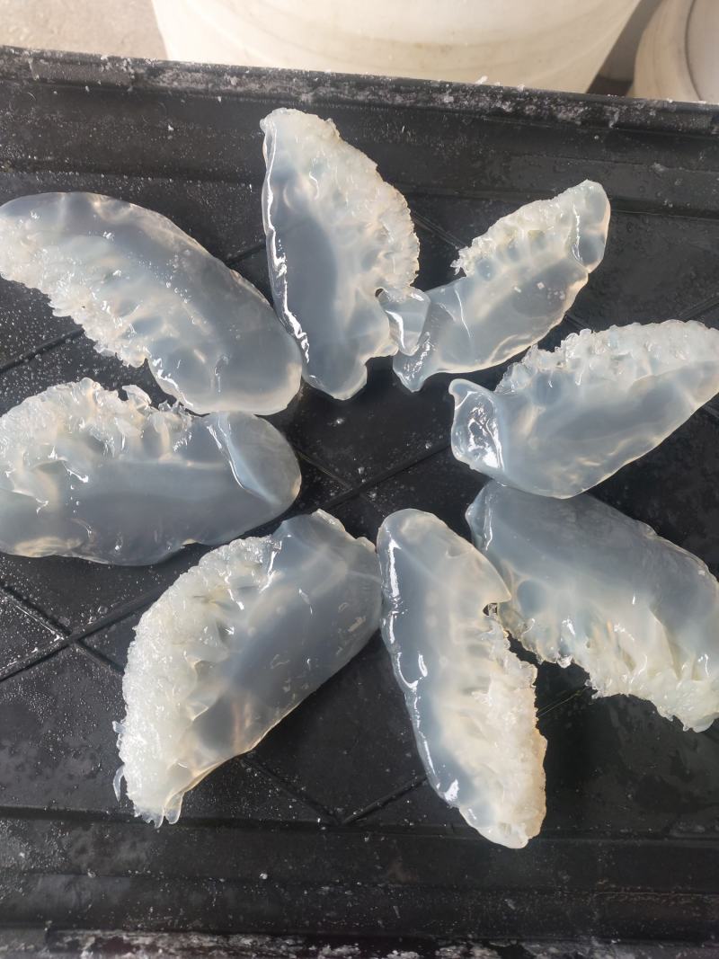 大量批发白花丝，短花，小花，白花皮