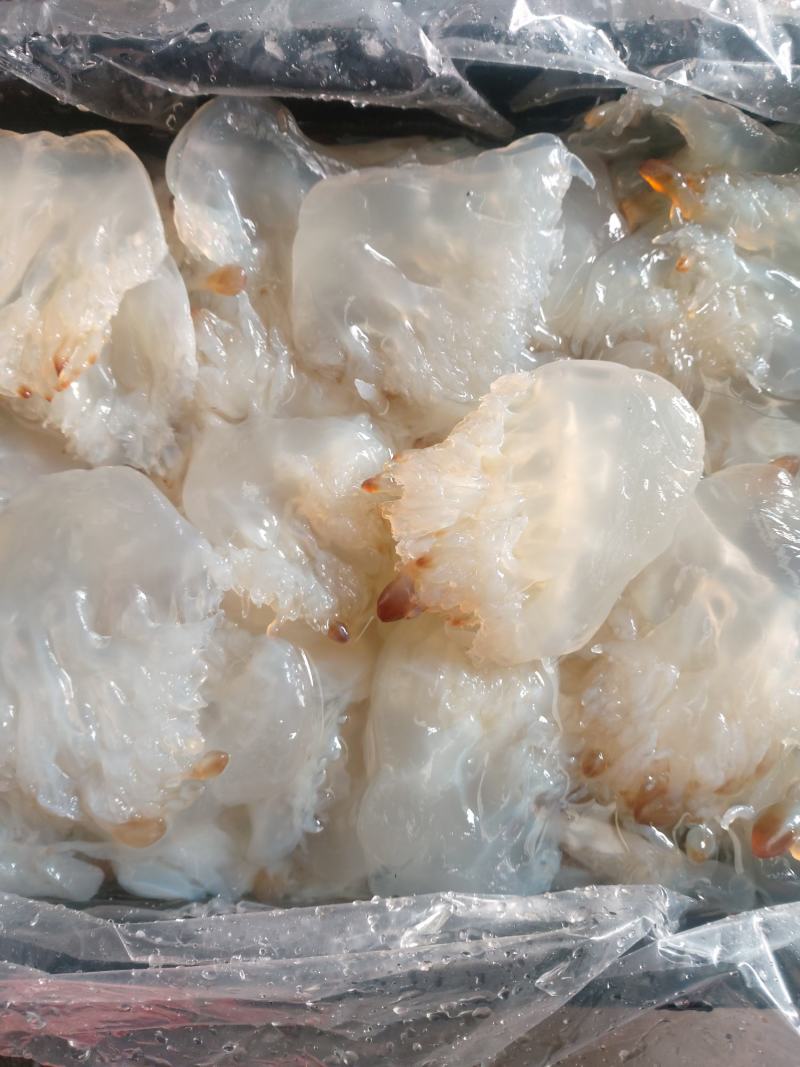 大量批发白花丝，短花，小花，白花皮