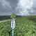 加工萝卜、寿司萝卜、关东煮萝卜原料，新鲜萝卜