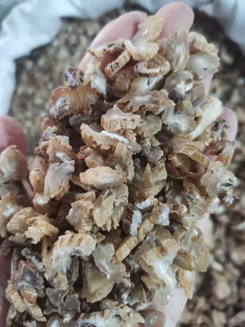 中药材百部湖南无硫熏规格齐全一公斤起发货
