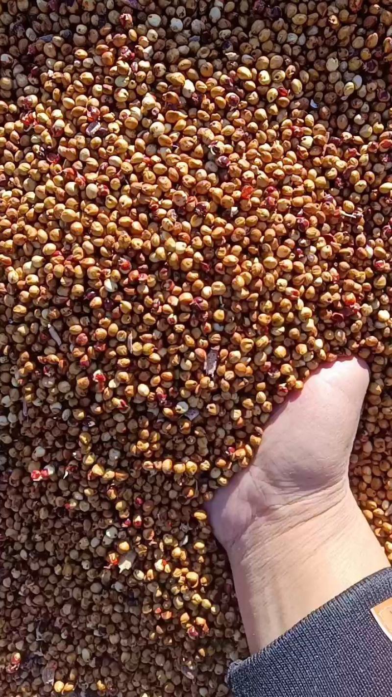 东北红高粱