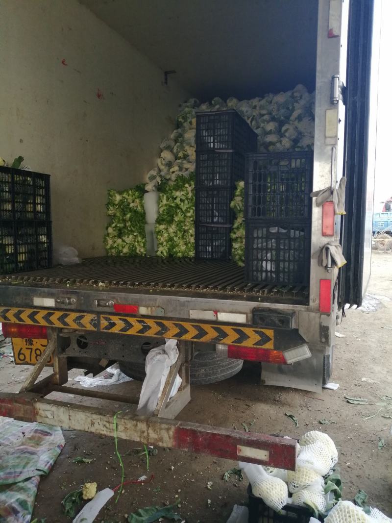 菜花，万亩基地，随到随装，一手货源，有专业装车队伍，诚信