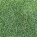湖南郴州草皮