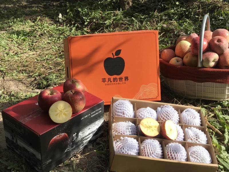 新疆阿克苏冰糖心苹果一件代发可电商授权微商社团购